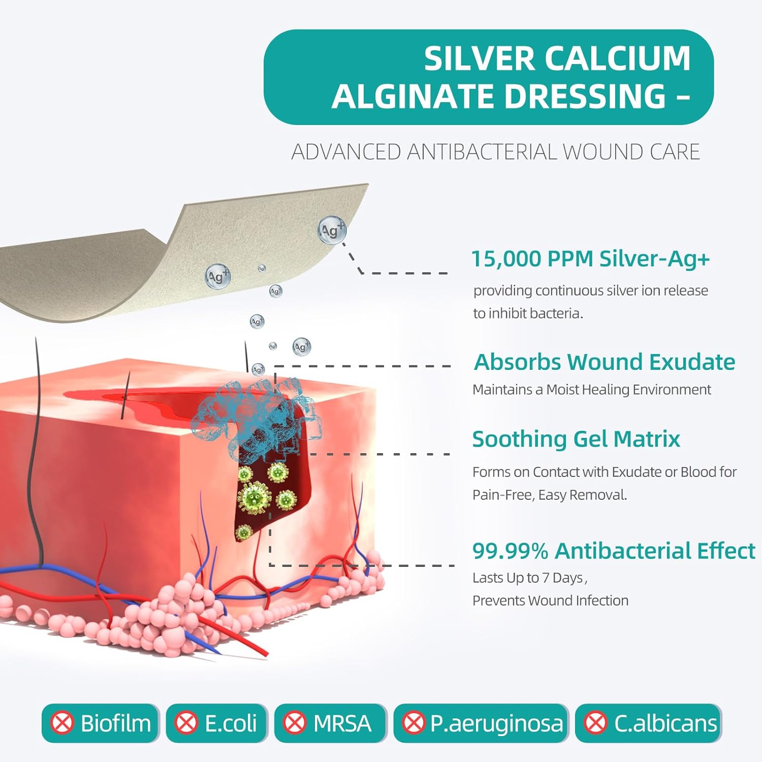 Dimora Upgrade Silver Calcium Alginate Wound Dressing -Antibacterial Non Stick Gauze for Wounds Care, Highly Absorbent Sterile Bandage Pads with Ag, 2'' x 2'' Patches 12 Packs Individual - Image 3